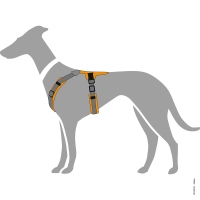 HUNTER Geschirr Maldon Up Orange/Grau