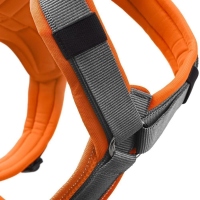 HUNTER Geschirr Maldon Up Orange/Grau