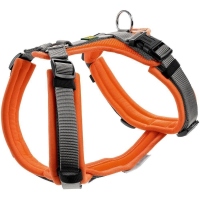 HUNTER Geschirr Maldon Up Orange/Grau