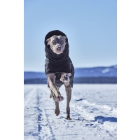 Hurtta Winterjacke Extreme Warmer III ECO raven