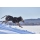 Hurtta Winterjacke Extreme Warmer III ECO raven