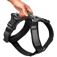 HUNTER Geschirr Maldon Up Schwarz/Grau XS