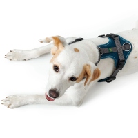 HUNTER Geschirr Maldon Up Petrol/Grau M-L