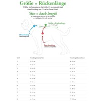 Hunter Hundemantel Paxson taubenblau