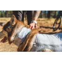 Ruffwear Swamp Cooler Halstuch Graphite Gray L