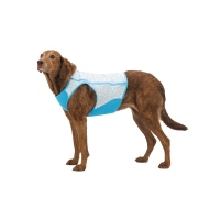 Ruffwear Swamp Cooler Zip Weste Biolumin Blue M