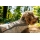 Ruffwear Swamp Cooler Kühlweste für Hunde Graphite Gray L