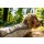 Ruffwear Swamp Cooler Weste Graphite Gray M