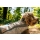 Ruffwear Swamp Cooler Weste Graphite Gray XS