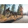 Ruffwear Summit Trex Hundeschuhe Sunrise Yellow XL