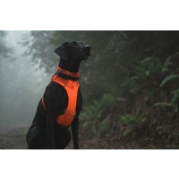 Ruffwear Front Range Halsband Blaze Orange L (51-66cm)