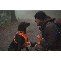 Ruffwear Front Range Halsband Blaze Orange L (51-66cm)