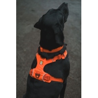 Ruffwear Front Range Geschirr Blaze Orange L/XL