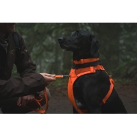 Ruffwear Front Range Geschirr Blaze Orange L/XL