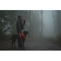 Ruffwear Front Range Geschirr Blaze Orange L/XL