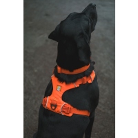 Ruffwear Front Range Geschirr Blaze Orange M