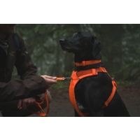 Ruffwear Front Range Geschirr Blaze Orange M