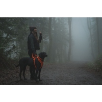 Ruffwear Front Range Geschirr Blaze Orange M