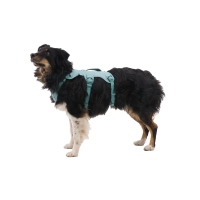 Ruffwear Web Master Geschirr River Rock Green XS