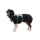 Ruffwear Web Master Geschirr River Rock Green XS