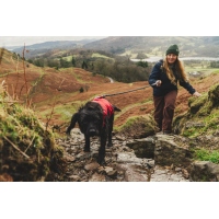 Ruffwear Web Master Geschirr Red Canyon XS