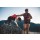 Ruffwear Web Master Geschirr Red Canyon XS