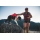 Ruffwear Web Master Geschirr Red Canyon XS