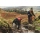 Ruffwear Web Master Geschirr Red Canyon XS