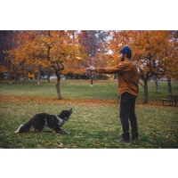 Ruffwear Gnawt-a-Cone Spielzeug Salamander Orange