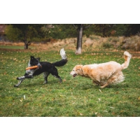 Ruffwear Gnawt-a-Stick Spielzeug Purple Orchid