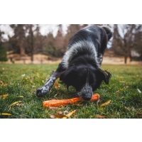 Ruffwear Gnawt-a-Stick Spielzeug Salamander Orange
