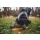 Ruffwear Gnawt-a-Stick Spielzeug Salamander Orange