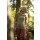 Pinewood 3449 Finnveden Recycled Outdoor Damen T-Shirt Olive Melange Pine Tree (769) XL