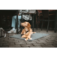 HUNTER Hunde Reisedecke Seoul