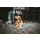 HUNTER Hunde Reisedecke Seoul