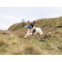 Flinger Mid Sized Marking Dummy by Laura Hill blau