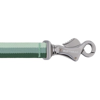 Ruffwear Roamer Bungee-Hundeleine River Rock Green