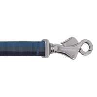 Ruffwear Roamer Bungee-Hundeleine Orion Blue