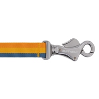 Ruffwear Roamer Bungee-Hundeleine Yellow Snow