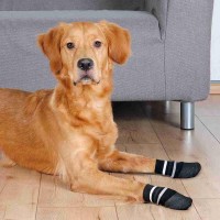 Trixie Hundesocken Rundum Anti-Rutsch schwarz 2 St.