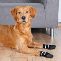 Trixie Hundesocken Rundum Anti-Rutsch schwarz 2 St. M-L