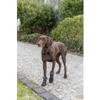 Trixie Hundeschuh Pfotenschutz Walker Active Long schwarz 2 St.