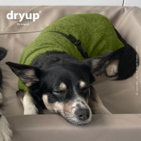 Dryup Cape Bamboo Mini Avocado