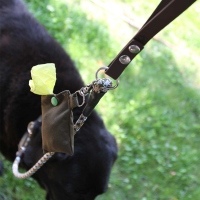 MewogS Biothanemoxon rot