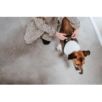 HUNTER Geschirr Hilo Comfort Braun