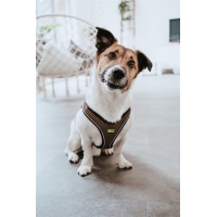 HUNTER Geschirr Hilo Comfort Braun