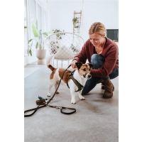 HUNTER Geschirr Hilo Comfort Braun