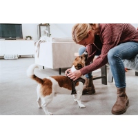 HUNTER Geschirr Hilo Comfort Braun