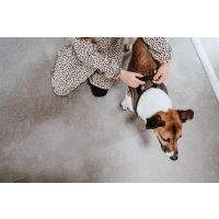 HUNTER Geschirr Hilo Comfort Braun