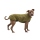 Ruffwear Climate Changer Fleeceweste Cedar Green
